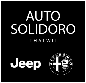 Auto Solidoro
