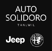 Auto Solidoro